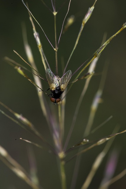 equipo revisando leads en crm y pipeline de ventas con seguimiento